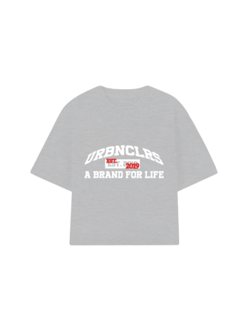REMERA BOXY GRIS URBAN COLORS
