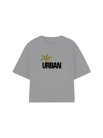 REMERA BOXY GRIS DTMF TOUR