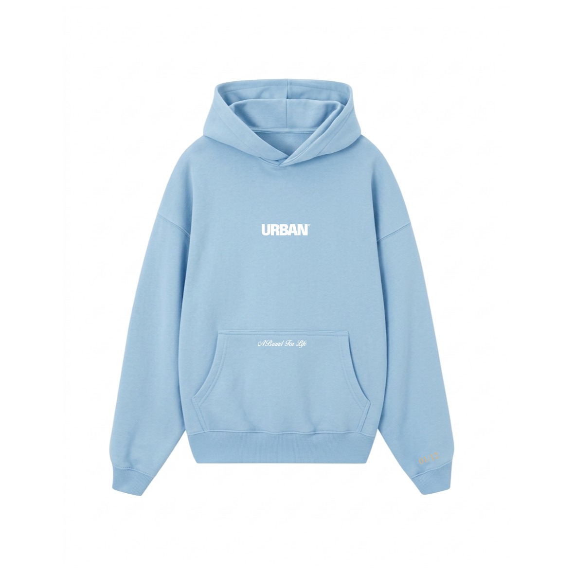 HOODIE || SPECIAL EDITION ARGENTINA || CELESTE - Imagen 2
